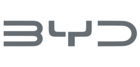Logo BYD Palembang